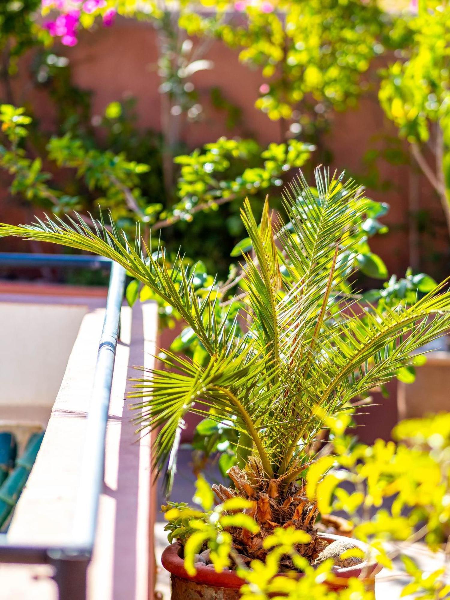 Riad L'Orange Bleue Marrakesh Exteriör bild